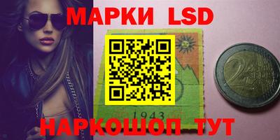 PSILOCYBIN Бугуруслан