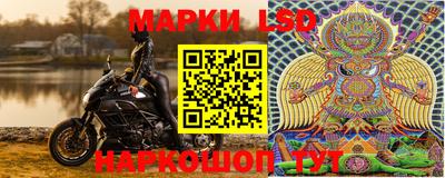 PSILOCYBIN Бугуруслан