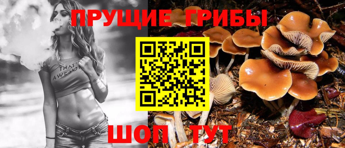 Галлюциногенные грибы GOLDEN TEACHER Саратов