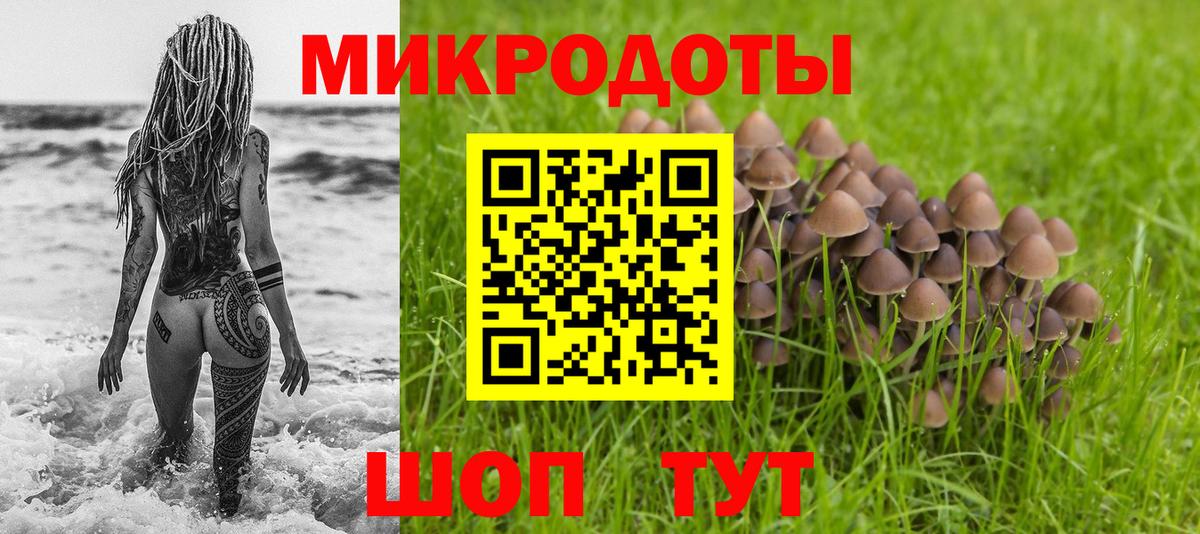 купить наркотики сайты  Псилоцибиновые грибы ЛСД  Вход с VPN  Саратов  Псилоцибиновые грибы Psilocybine cubensis 